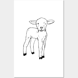 Lamb Sketch Posters and Art